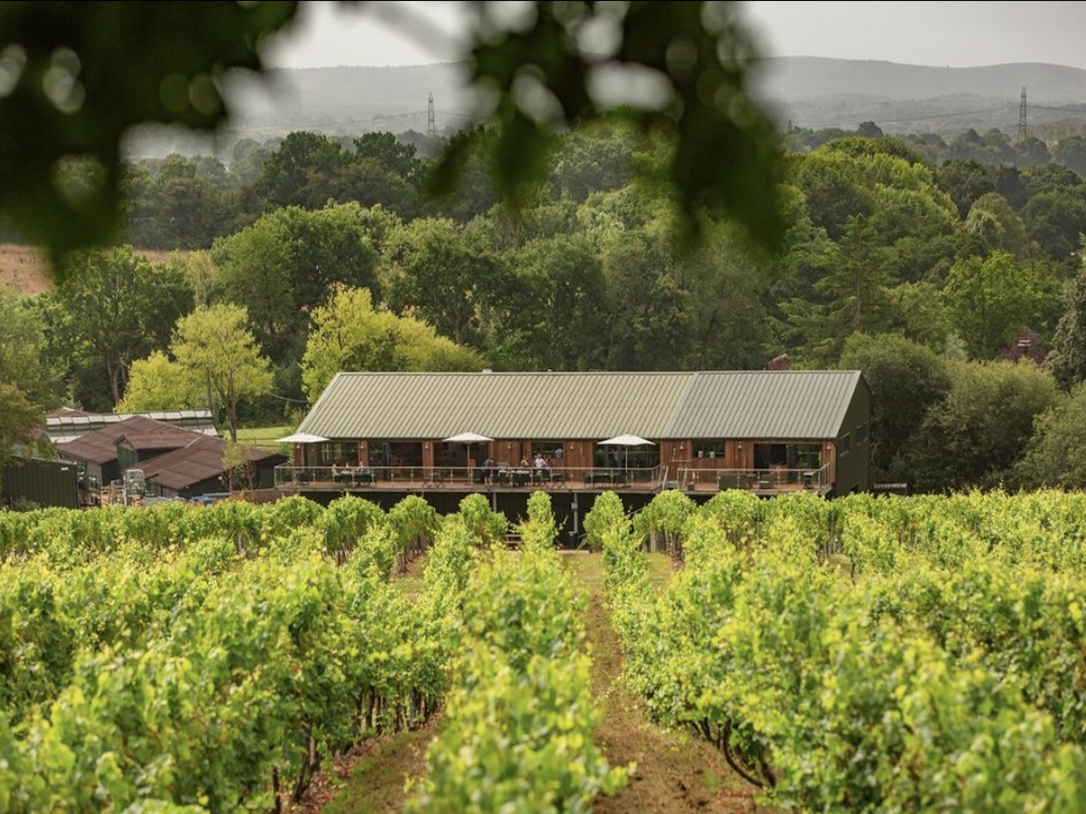 Best vineyards in England and Wales